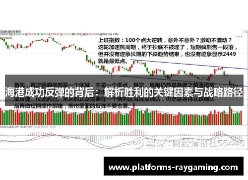 海港成功反弹的背后：解析胜利的关键因素与战略路径