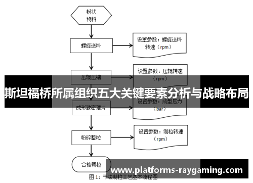 斯坦福桥所属组织五大关键要素分析与战略布局