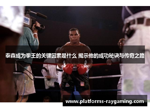 泰森成为拳王的关键因素是什么 揭示他的成功秘诀与传奇之路
