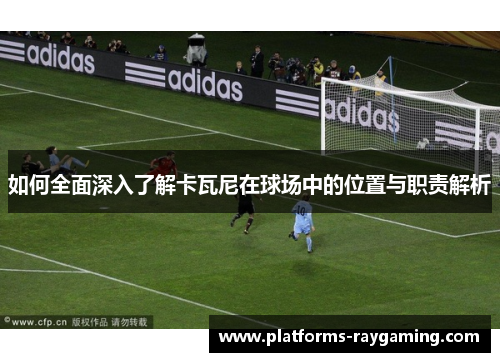 如何全面深入了解卡瓦尼在球场中的位置与职责解析