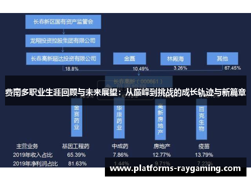 费南多职业生涯回顾与未来展望:从巅峰到挑战的成长轨迹与新篇章 费南多职业生涯回顾与未来展望:从巅峰到挑战的成长轨迹与新篇章