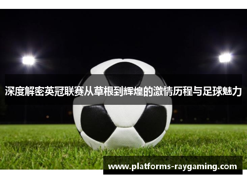 深度解密英冠联赛从草根到辉煌的激情历程与足球魅力 深度解密英冠联赛从草根到辉煌的激情历程与足球魅力